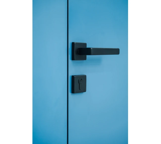 Filomuro окрашенная photo2