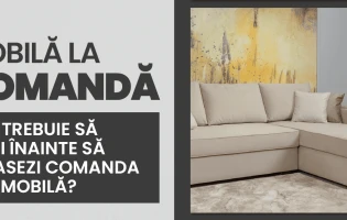Ce trebuie să stii înainte să plasezi comanda de mobilă?
